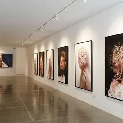 What's the Best Track Lighting for Art Galleries? A Complete Guide