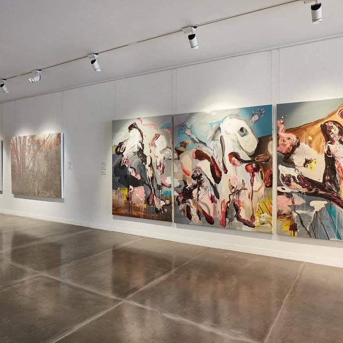 Empower Your Gallery with Innovative Tracklight Controls: A Guide for Owners and Managers