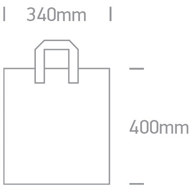 060012 ONE LIGHT PLASTIC BAG SMALL RECYCLABLE