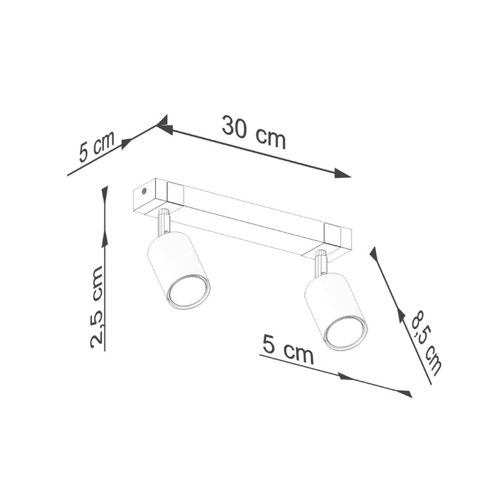 Ceiling lamp FAGER 2 black Sollux Lighting SL.1344