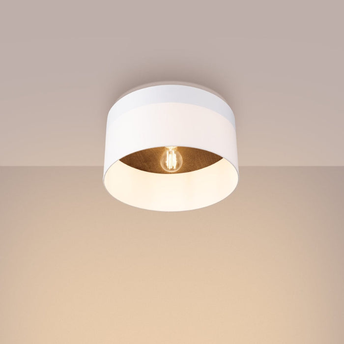 Ceiling lamp TELESTO white/dark brown Sollux Lighting SL.1392