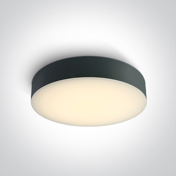 ANTHRACITE Ceiling 20W CCTV IP65 230V One Light 67498/AN/V