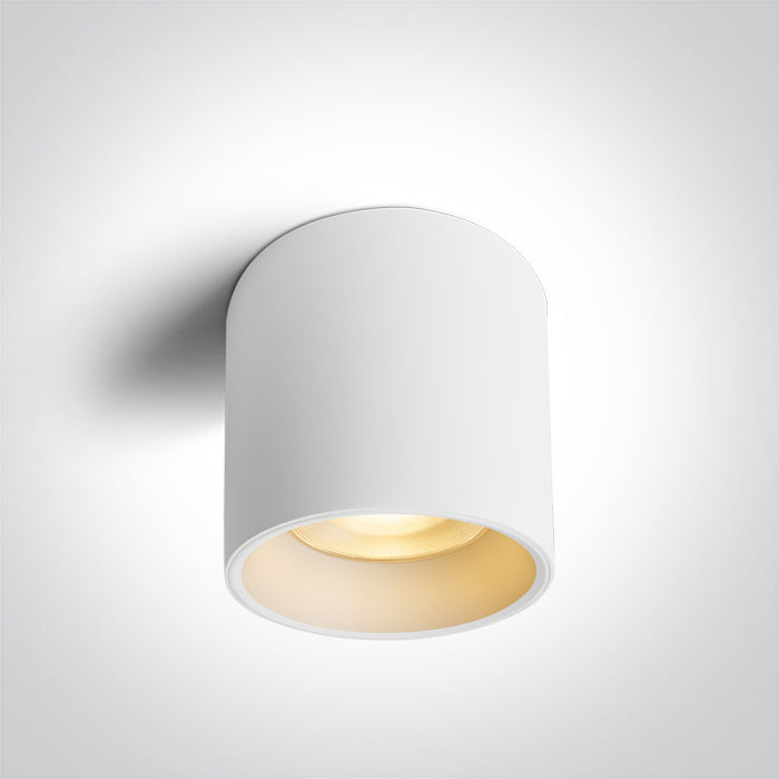 67540C/W/V WHITE 25W CCTV IP65 230V DARK LIGHT