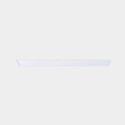 Downlight