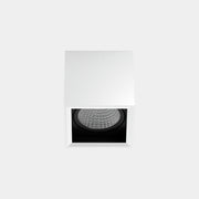 Ceiling fixture