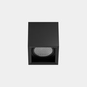 Ceiling fixture