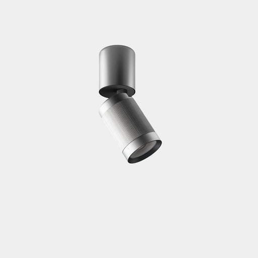 Ceiling fixture