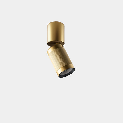 Ceiling fixture