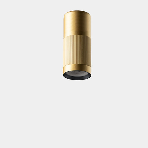 Ceiling fixture