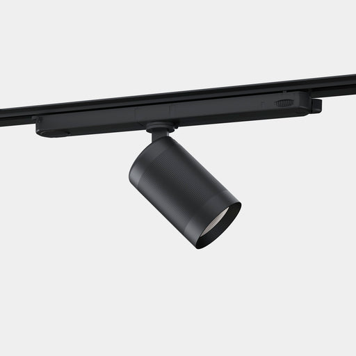 Spotlight