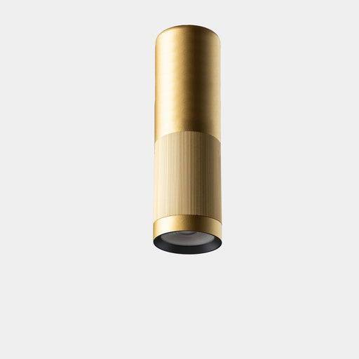 Ceiling fixture