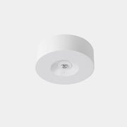 Ceiling fixture