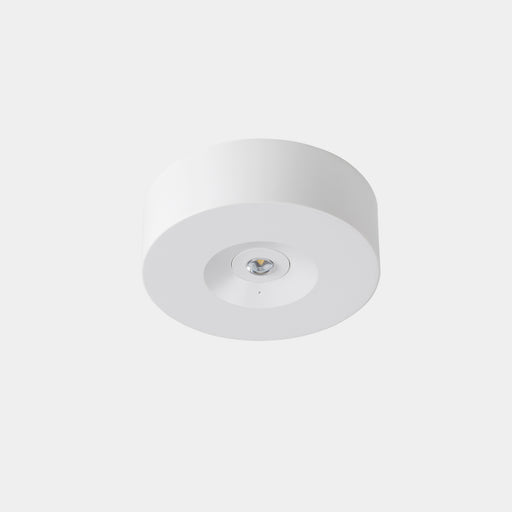 Ceiling fixture