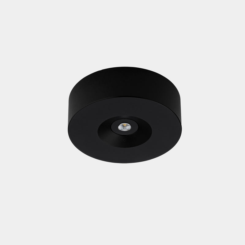 Ceiling fixture
