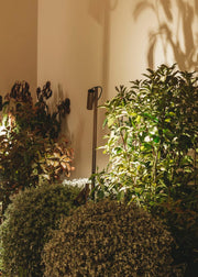 BOLLARD IP66 JUNCUS 1 HEAD LED 8.3 LED WARM-WHITE 3000K ON-OFF BROWN 418LM