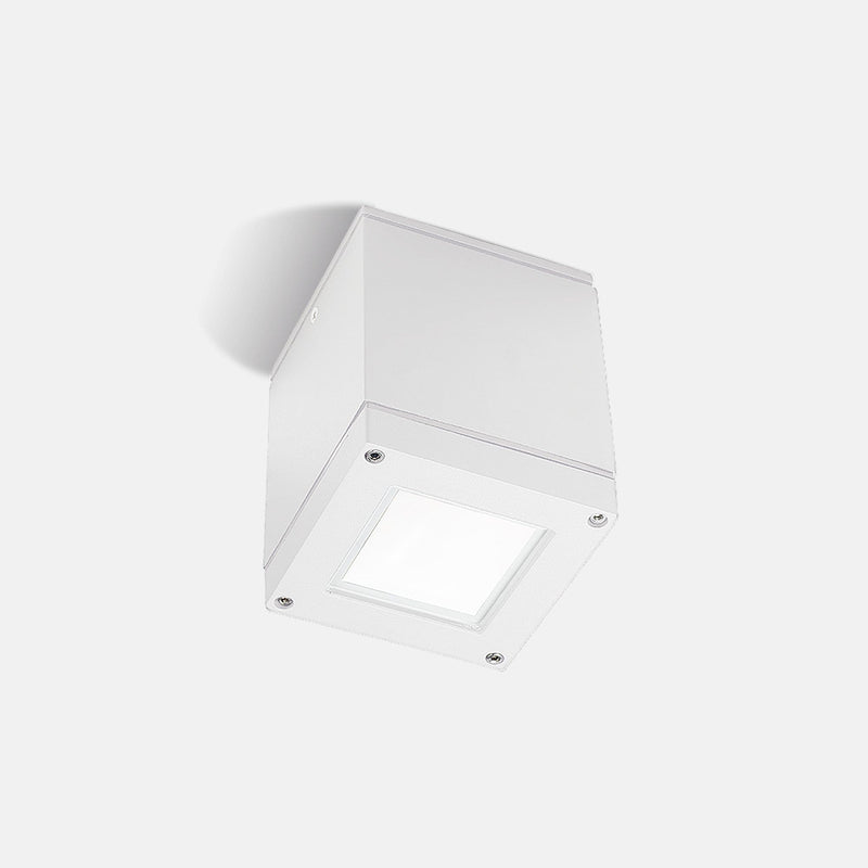 CEILING FIXTURE IP54 AFRODITA GU10 GU10 8 WHITE