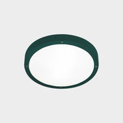 CEILING FIXTURE IP66 BASIC Ø260MM E27 15 FIR GREEN