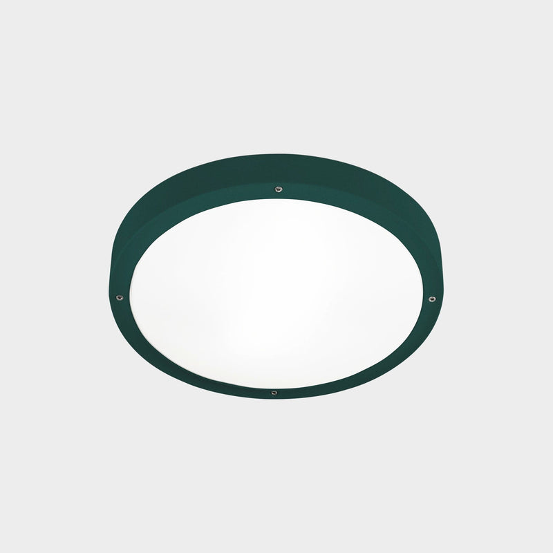 CEILING FIXTURE IP66 BASIC Ø260MM E27 15 FIR GREEN
