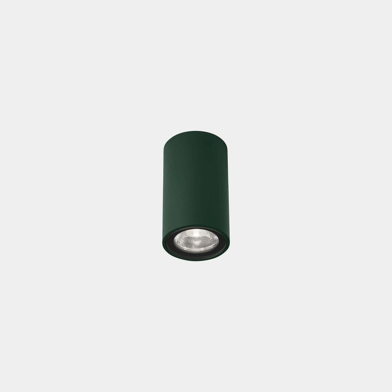 CEILING FIXTURE IP66 MAX MEDIUM LED 6.5 LED WARM-WHITE 2700K ON-OFF FIR GREEN 45