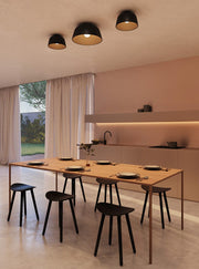 CEILING FIXTURE MISO Ø285MM E27 15 BLACK 422LM