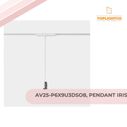 AV25-P6X9U3DSO8, PENDANT IRIS TRACK HOOP 50&ordm; 7.5W LED WARM-WHITE 4000K CRI 92 DALI-2 /GR, White/Grey/Transparent 3 Circuit by@Outfy