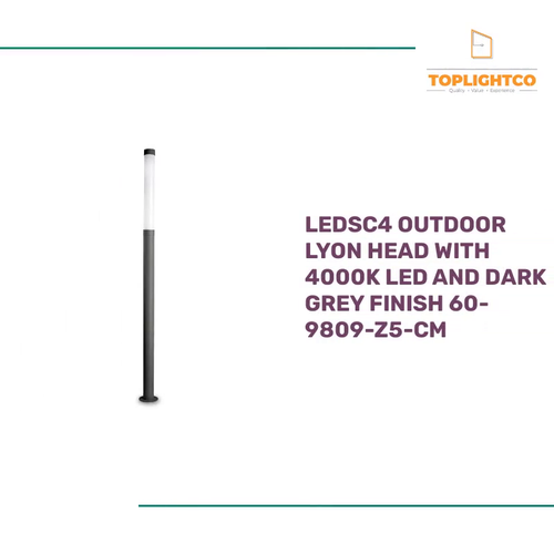 LEDSC4 Outdoor lyon head with 4000k led and dark grey finish 60-9809-Z5-CM by@Outfy