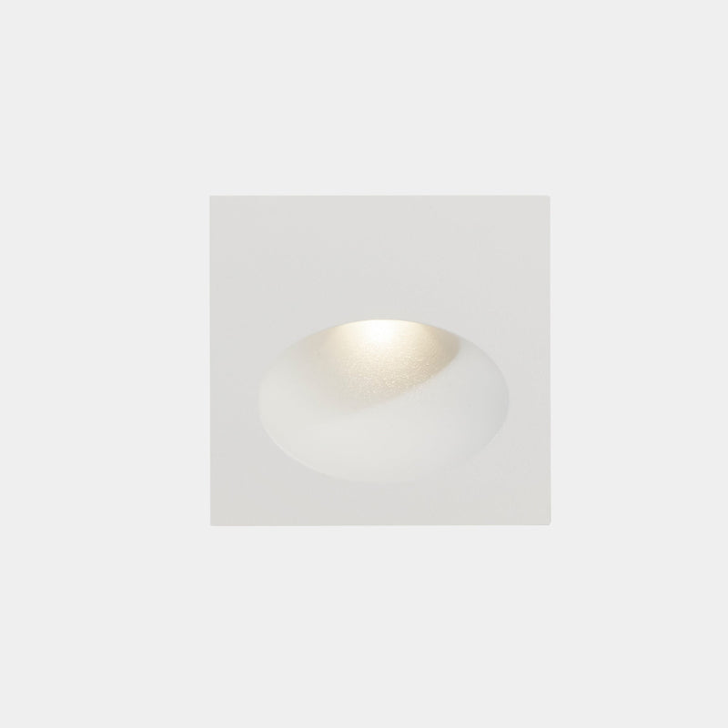 RECESSED WALL LIGHTING IP66 BAT SQUARE OVAL LED 2.2 LED WARM-WHITE 3000K WHITE 7 05-E016-14-CL