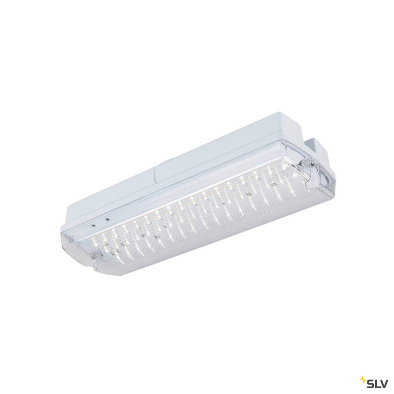 SLV 1010505 P-LIGHT, wall and ceiling-mounted light, rectangular, 6000K, 5.2W, white / transparent