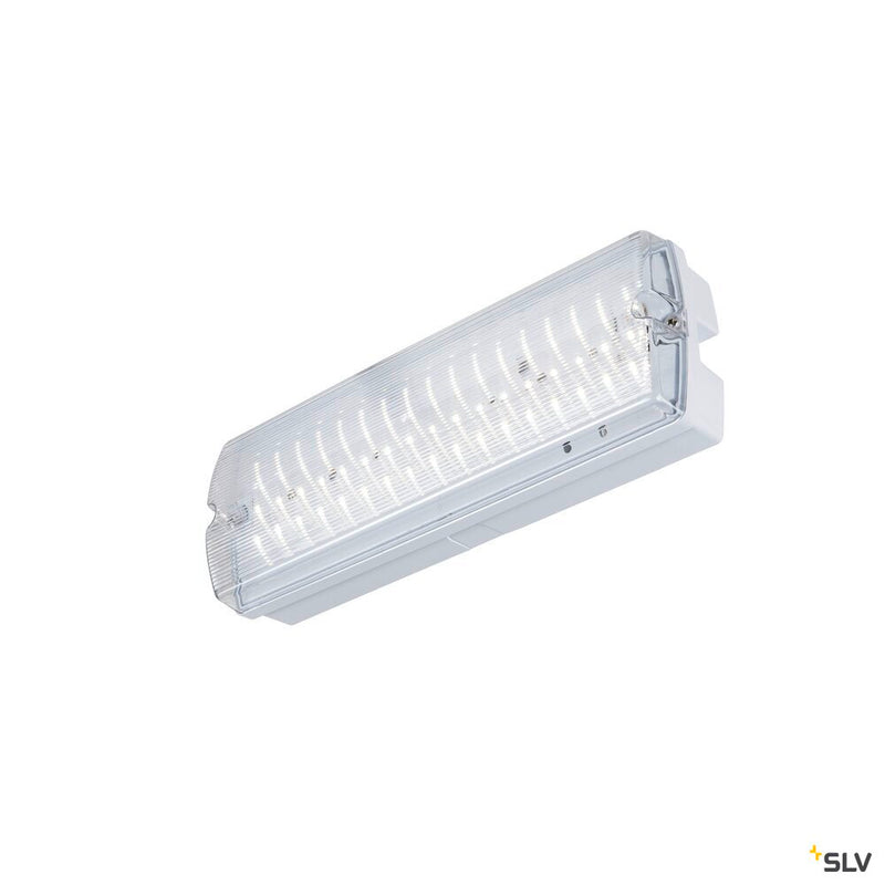 SLV 1010505 P-LIGHT, wall and ceiling-mounted light, rectangular, 6000K, 5.2W, white / transparent