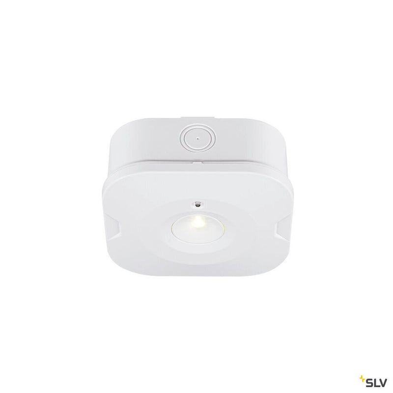 SLV 1010508 P-LIGHT, Ceiling-mounted light, square, 6000K, 1.2W, white