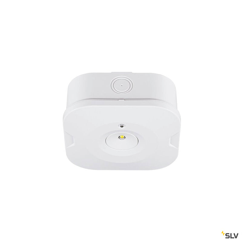 SLV 1010508 P-LIGHT, Ceiling-mounted light, square, 6000K, 1.2W, white