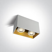 Wall & Ceiling Light White Rectangular Replaceable lamp 2x10W Aluminium One Light SKU:12205TA/W - Toplightco
