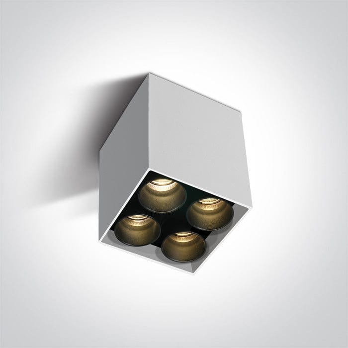 White Led 10w Warm White Ip20 230v Dark Light Ceiling Light Ip20 SKU: 12406C/W/W - Toplightco