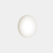 LEDS-C4 Outdoor Ceiling light ip65 mega ø800mm led 74w 3000k dali opal white 8062lm 15-E110-M1-EH - Toplightco