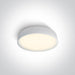 Ceiling Light White Circular Warm White LED built in 1300lm 20W Metal One Light SKU:62118D/W/W - Toplightco