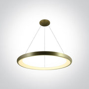 Brushed Brass Pendant Light Led 50w Warm White Ip20 230v One Light SKU:62144NB/BBS/W - Toplightco