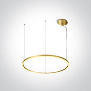 Brushed Brass Pendant Light Led 65w Warm White Ip20 230v One Light SKU:62156C/BBS/W - Toplightco