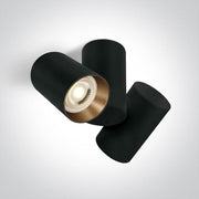 Black 2x10W MR16 GU10 Low Glare Adjustable Ceiling Light. 



Complete with black and brass reflectors.



 One Light SKU:65205E/B