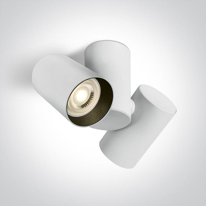 White 2x10W MR16 GU10 Low Glare Adjustable Ceiling Light. 



Complete with black and brass reflectors.



 One Light SKU:65205E/W