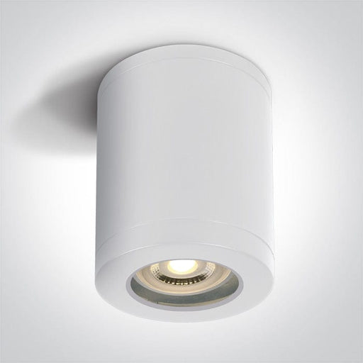 White GU10 tubular ceiling light, IP65.

 

 One Light SKU:67142B/W