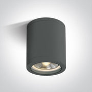 Anthracite E27 PAR30 tubular ceiling light, IP65.
 
 One Light SKU:67142C/AN