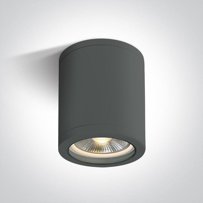 Anthracite E27 PAR30 tubular ceiling light, IP65.
 
 One Light SKU:67142C/AN