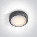 Wall & Ceiling Light Anthracite Circular Outdoor Replaceable lamp 20W Die Cast One Light SKU:67204/AN - Toplightco