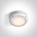 Wall & Ceiling Light White Circular Outdoor Replaceable lamp 20W Die Cast One Light SKU:67204/W - Toplightco