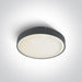 Ceiling Light Anthracite Circular Outdoor Replaceable lamp 2x12W ABS One Light SKU:67280EA/AN - Toplightco