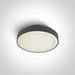 Ceiling Light Anthracite Circular Warm White LED Outdoor LED built in 960lm 16W Plastic One Light SKU:67280N/AN/W - Toplightco