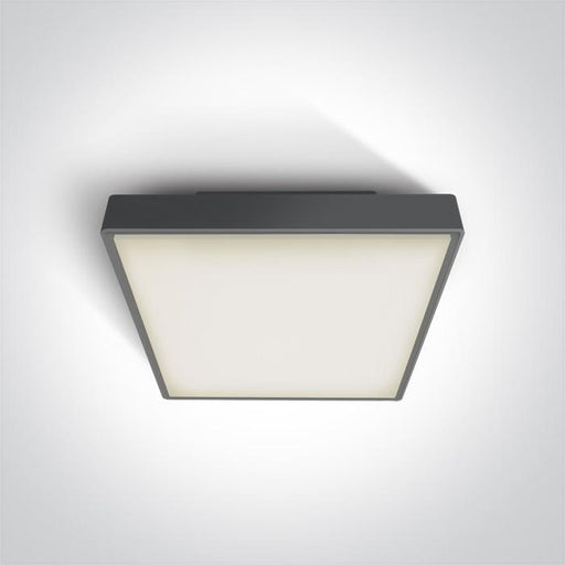 Ceiling Light Anthracite Rectangular Outdoor Replaceable lamp 2x12W ABS One Light SKU:67282EA/AN - Toplightco