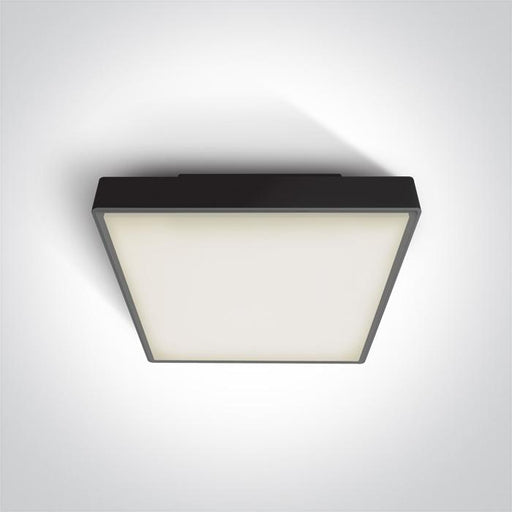 Ceiling Light Black Rectangular Outdoor Replaceable lamp 2x12W ABS One Light SKU:67282EA/B - Toplightco