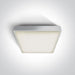 Ceiling Light White Rectangular Outdoor Replaceable lamp 2x12W ABS One Light SKU:67282EA/W - Toplightco