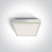 Ceiling Light White Rectangular Warm White LED Outdoor LED built in 960lm 16W Plastic One Light SKU:67282N/W/W - Toplightco
